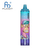 RandM Tornado 15000 Puffs - Blueberry Raspberry - Disposable Vape - Digital Display - Pack of 10